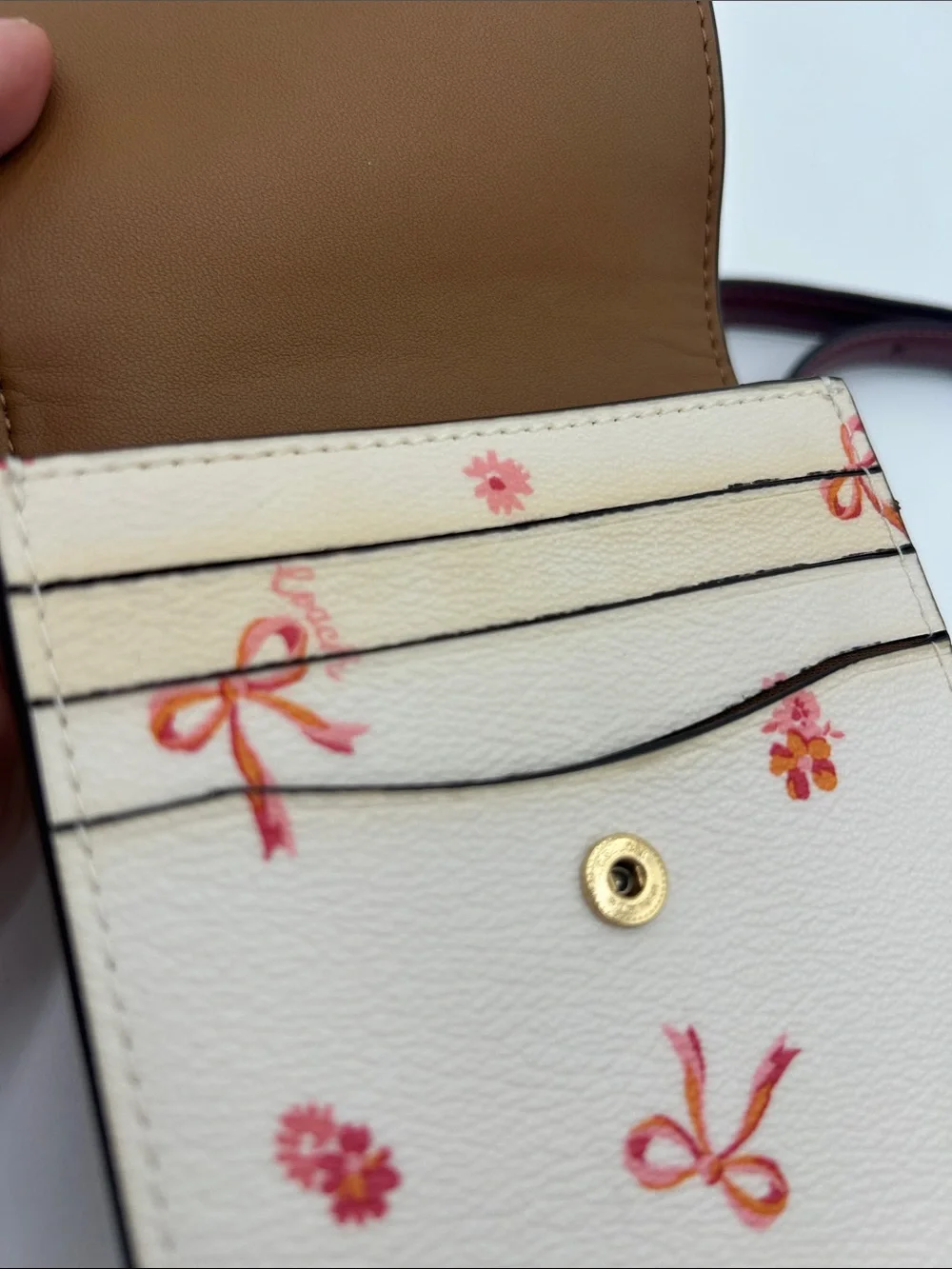 Coach North South Phone Crossbody With Bow Print CN780